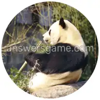 Word Rings Level 26 Puzzle 3