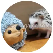 Word Rings Level 24 Puzzle 2