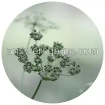 Word Rings Level 32 Puzzle 6