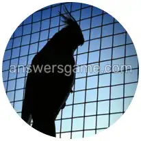 Word Rings Level 16 Puzzle 6