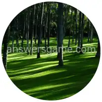 Word Rings Level 25 Puzzle 2