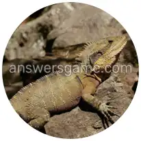 Word Rings Level 36 Puzzle 5