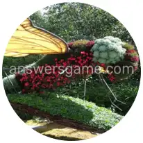 Wortringe Ebene 20 Rätsel 6