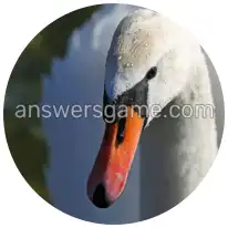 Wortringe Ebene 3 Rätsel 4