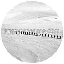 Word Rings Level 24 Puzzle 10