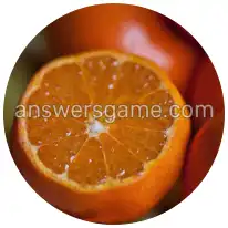 Wortringe Ebene 4 Rätsel 1